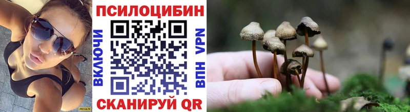 Псилоцибиновые грибы Psilocybine cubensis  нарко площадка клад  Нерюнгри 